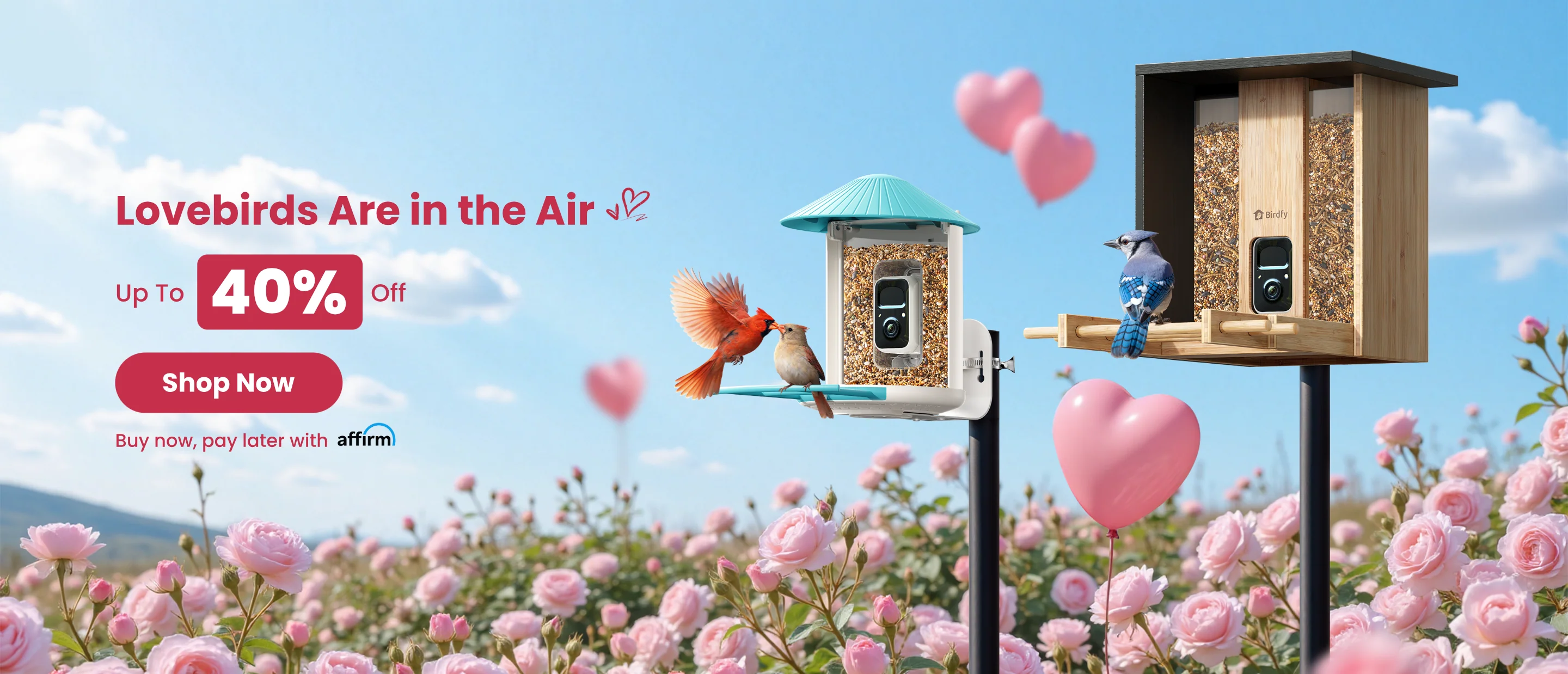 Experience Nature Up Close